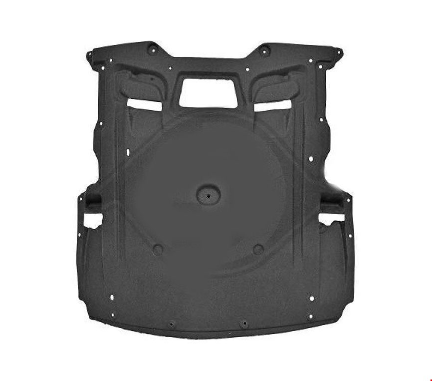 KARTER ALT MUHAFAZA ( HALI ) F10 2010-