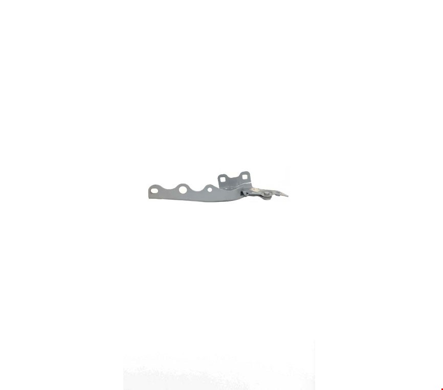 MOTOR KAPUT MENTEŞESİ SOL PG 301 2013-