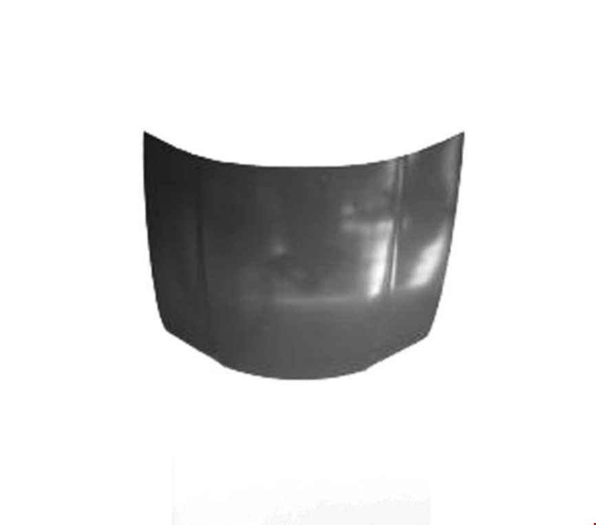 MOTOR KAPUTU CİTY 2009-