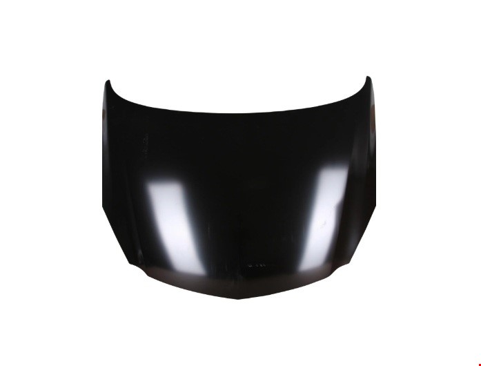 MOTOR KAPUTU İNSİGNİA 2009-