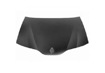 MOTOR KAPUTU LAGUNA 2001-