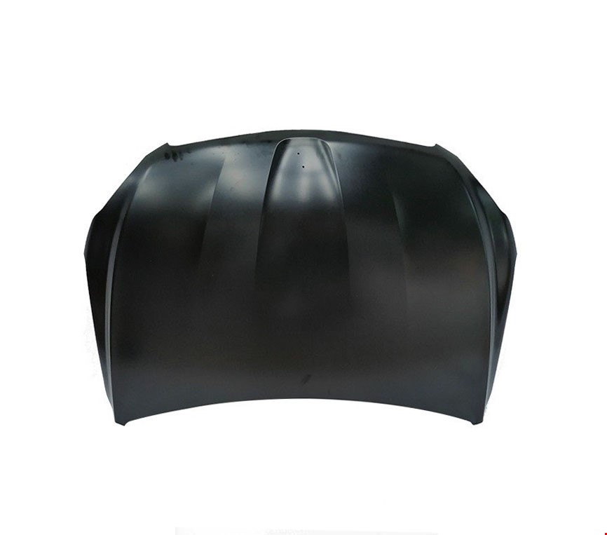 MOTOR KAPUTU (SİMYİ) PG 301 2013-